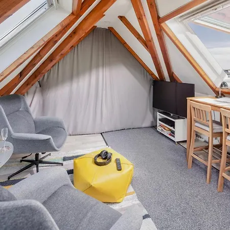 Panorama-dachwohnung *